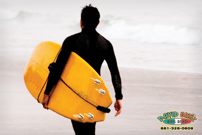 Surf’s Up! Why You Should Be Surfing In The Winter