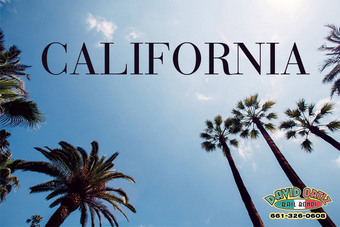 California: The Sanctuary State